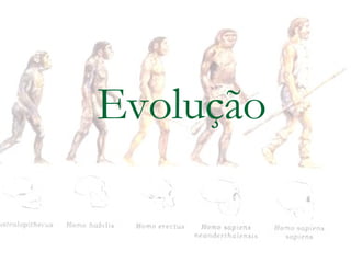 Evolução 