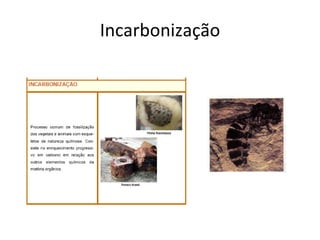 Incarbonização 