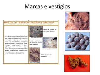 Marcas e vestígios 