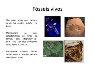 Fósseis vivos São seres vivos que existem desde há muitos milhões de anos.  Mantiveram as suas características ao longo do tempo,  pois  adaptaram-se  bem  aos  variados ambientes que a Terra atravessou. Atualmente existem fósseis destes seres e também existem exemplares vivos. 