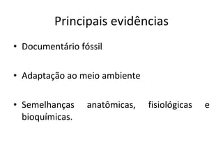 Principais evidências Documentário fóssil Adaptação ao meio ambiente  Semelhanças anatômicas, fisiológicas e bioquímicas. 