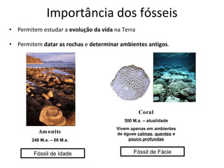 Importância dos fósseis Permitem estudar a  evolução da vida  na Terra Permitem  datar as rochas  e  determinar ambientes antigos . Fóssil de Idade Fóssil de Fácie Coral 500 M.a. – atualidade Vivem apenas em ambientes de águas  calmas ,  quentes  e  pouco profundas Amonite 248 M.a. – 66 M.a. 