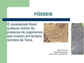 FÓSSEIS
É considerado fóssil
qualquer indício da
presença de organismos
que viveram em tempos
remotos da Terra.
 