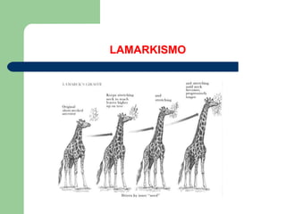 LAMARKISMO
 