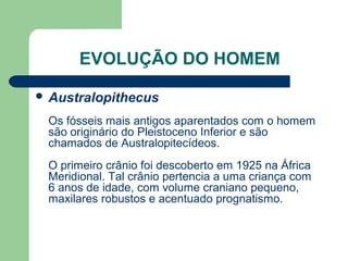 EVOLUÇÃO DO HOMEM
 Australopithecus
Os fósseis mais antigos aparentados com o homem
são originário do Pleistoceno Inferior e são
chamados de Australopitecídeos.
O primeiro crânio foi descoberto em 1925 na África
Meridional. Tal crânio pertencia a uma criança com
6 anos de idade, com volume craniano pequeno,
maxilares robustos e acentuado prognatismo.
 