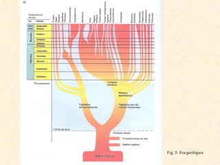 Fig. 5: Era geológica 