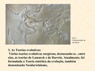 3. As Teorias evolutivas:   Várias teorias evolutivas surgiram, destacando-se , entre elas, as teorias de Lamarck e de Darwin. Atualmente, foi formulada a Teoria sintética da evolução, também denominada Neodarwinismo,  Fig.3: Caracterização de um fóssil 