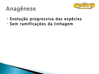    Evolução progressiva das espécies
   Sem ramificações da linhagem
 