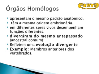    apresentam o mesmo padrão anatômico.
    têm a mesma origem embrionária.
   em diferentes seres vivos desempenham
    funções diferentes.
   divergiram do mesmo antepassado
    (ancestral comum)
   Refletem uma evolução divergente
   Exemplo: Membros anteriores dos
    vertebrados.
 