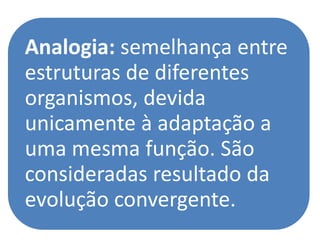 Analogia: semelhança entre
estruturas de diferentes
organismos, devida
unicamente à adaptação a
uma mesma função. São
consideradas resultado da
evolução convergente.
 
