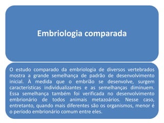 Embriologia comparada


O estudo comparado da embriologia de diversos vertebrados
mostra a grande semelhança de padrão de desenvolvimento
inicial. À medida que o embrião se desenvolve, surgem
características individualizantes e as semelhanças diminuem.
Essa semelhança também foi verificada no desenvolvimento
embrionário de todos animais metazoários. Nesse caso,
entretanto, quando mais diferentes são os organismos, menor é
o período embrionário comum entre eles.
 