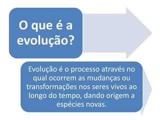 O que é a
evolução?
  Evolução é o processo através no
    qual ocorrem as mudanças ou
 transformações nos seres vivos ao
  longo do tempo, dando origem a
           espécies novas.
 