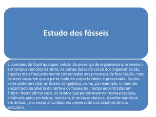 Estudo dos fósseis


É considerado fóssil qualquer indício da presença de organismos que viveram
em tempos remotos da Terra. As partes duras do corpo dos organismos são
aquelas mais freqüentemente conservadas nos processos de fossilização, mas
existem casos em que a parte mole do corpo também é preservada. Dentre
estes podemos citar os fosseis congelados, como, por exemplo, o mamute
encontrado na Sibéria do norte e os fosseis de insetos encontrados em
âmbar. Neste último caso, os insetos que penetravam na resina pegajosa,
eliminada pelos pinheiros, morriam, A resina endurecia, transformando-se
em âmbar. , e o inseto aí contido era preservado nos detalhes de sua
estrutura.
 