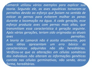 Lamarck utilizou vários exemplos para explicar sua
teoria. Segundo ele, as aves aquáticas tornaram-se
pernaltas devido ao esforço que faziam no sentido de
esticar as pernas para evitarem molhar as penas
durante a locomoção na água. A cada geração, esse
esforço produzia aves com pernas mais altas, que
transmitiam essa característica à geração seguinte.
Após várias gerações, teriam sido originadas as atuais
aves                                        pernaltas.
A teoria de Lamarck não é aceita atualmente, pois
suas idéias apresentam um erro básico: as
características adquiridas não são hereditárias.
Verificou-se que as alterações em células somáticas
dos indivíduos não alteram as informações genéticas
contida nas células germinativas, não sendo, dessa
forma, hereditárias.
 