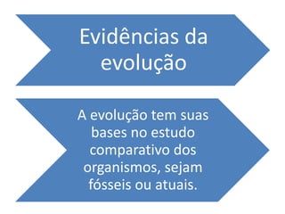 Evidências da
  evolução

A evolução tem suas
   bases no estudo
  comparativo dos
 organismos, sejam
  fósseis ou atuais.
 