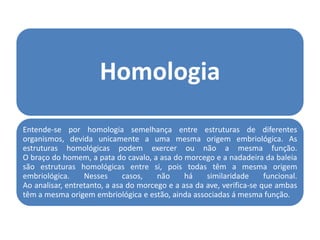 Homologia
Entende-se por homologia semelhança entre estruturas de diferentes
organismos, devida unicamente a uma mesma origem embriológica. As
estruturas homológicas podem exercer ou não a mesma função.
O braço do homem, a pata do cavalo, a asa do morcego e a nadadeira da baleia
são estruturas homológicas entre si, pois todas têm a mesma origem
embriológica.     Nesses      casos,   não     há    similaridade      funcional.
Ao analisar, entretanto, a asa do morcego e a asa da ave, verifica-se que ambas
têm a mesma origem embriológica e estão, ainda associadas á mesma função.
 
