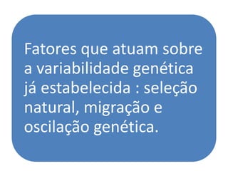 Fatores que atuam sobre
a variabilidade genética
já estabelecida : seleção
natural, migração e
oscilação genética.
 