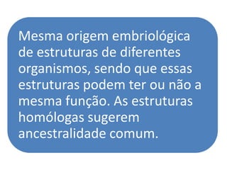 Mesma origem embriológica
de estruturas de diferentes
organismos, sendo que essas
estruturas podem ter ou não a
mesma função. As estruturas
homólogas sugerem
ancestralidade comum.
 