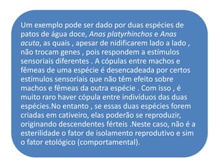 Um exemplo pode ser dado por duas espécies de
patos de água doce, Anas platyrhinchos e Anas
acuta, as quais , apesar de nidificarem lado a lado ,
não trocam genes , pois respondem a estímulos
sensoriais diferentes . A cópulas entre machos e
fêmeas de uma espécie é desencadeada por certos
estímulos sensoriais que não têm efeito sobre
machos e fêmeas da outra espécie . Com isso , é
muito raro haver cópula entre indivíduos das duas
espécies.No entanto , se essas duas espécies forem
criadas em cativeiro, elas poderão se reproduzir,
originando descendentes férteis .Neste caso, não é a
esterilidade o fator de isolamento reprodutivo e sim
o fator etológico (comportamental).
 