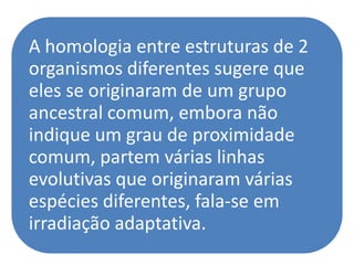 A homologia entre estruturas de 2
organismos diferentes sugere que
eles se originaram de um grupo
ancestral comum, embora não
indique um grau de proximidade
comum, partem várias linhas
evolutivas que originaram várias
espécies diferentes, fala-se em
irradiação adaptativa.
 