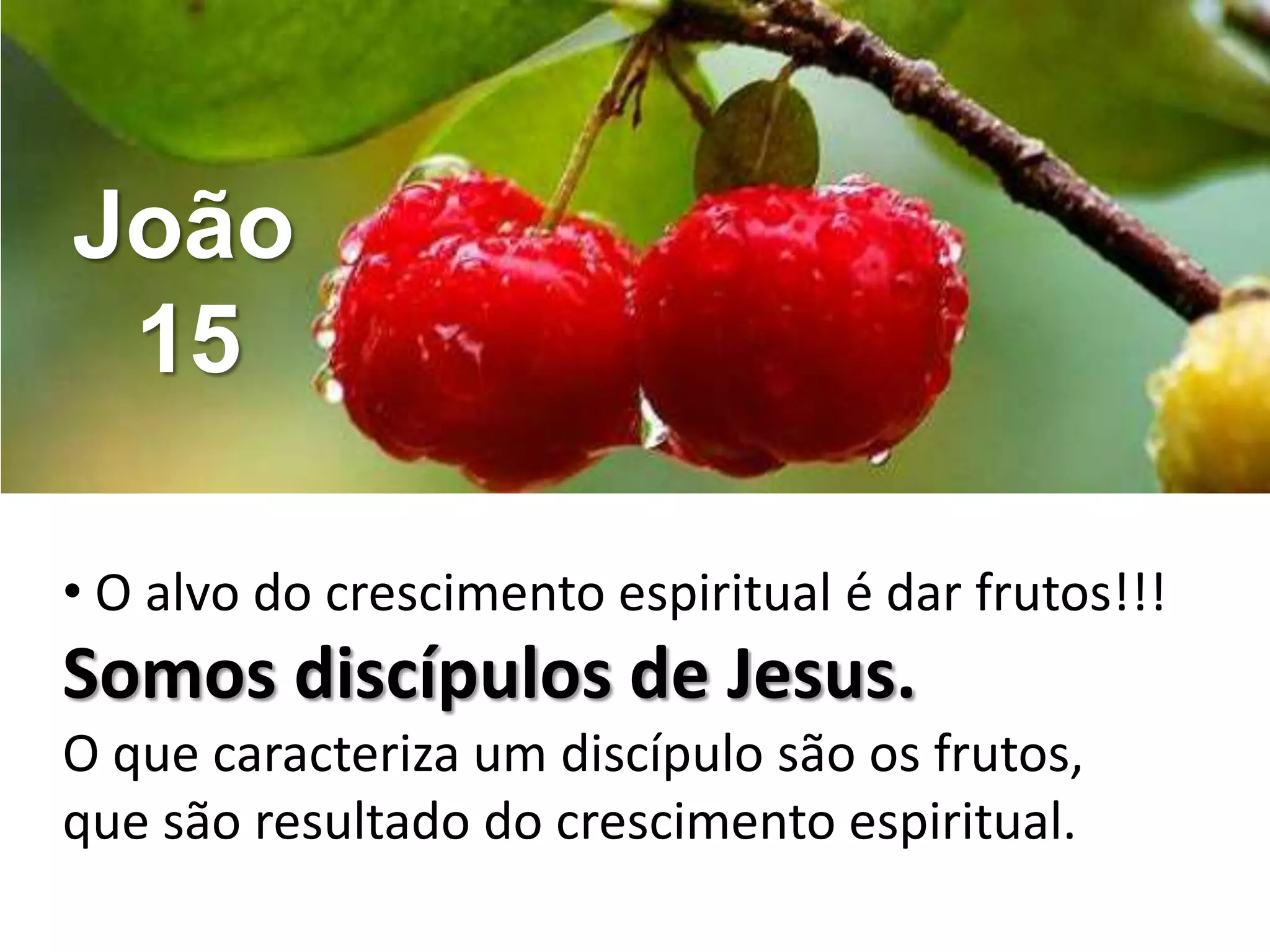 João
 15

• O alvo do crescimento espiritual é dar frutos!!!
Somos discípulos de Jesus.
O que caracteriza um discípulo são os frutos,
que são resultado do crescimento espiritual.
 