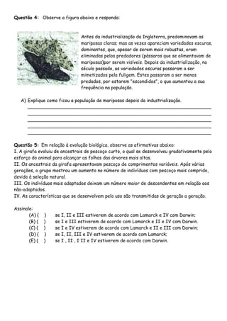 Questão 4: Observe a figura abaixo e responda:
Antes da industrialização da Inglaterra, predominavam as
mariposas claras; mas as vezes apareciam variedades escuras,
dominantes, que, apesar de serem mais robustas, eram
eliminadas pelos predadores (pássaros que se alimentavam de
mariposas)por serem visíveis. Depois da industrialização, no
século passado, as variedades escuras passaram a ser
mimetizados pela fuligem. Estes passaram a ser menos
predados, por estarem "escondidos", o que aumentou a sua
frequência na população.
A) Explique como ficou a população de mariposas depois da industrialização.
________________________________________________________________
________________________________________________________________
________________________________________________________________
________________________________________________________________
________________________________________________________________
Questão 5: Em relação à evolução biológica, observe as afirmativas abaixo:
I. A girafa evoluiu de ancestrais de pescoço curto, o qual se desenvolveu gradativamente pelo
esforço do animal para alcançar as folhas das árvores mais altas.
II. Os ancestrais da girafa apresentavam pescoço de comprimentos variáveis. Após várias
gerações, o grupo mostrou um aumento no número de indivíduos com pescoço mais comprido,
devido à seleção natural.
III. Os indivíduos mais adaptados deixam um número maior de descendentes em relação aos
não-adaptados.
IV. As características que se desenvolvem pelo uso são transmitidas de geração a geração.
Assinale:
(A) ( ) se I, II e III estiverem de acordo com Lamarck e IV com Darwin;
(B) ( ) se I e III estiverem de acordo com Lamarck e II e IV com Darwin.
(C) ( ) se I e IV estiverem de acordo com Lamarck e II e III com Darwin;
(D) ( ) se I, II, III e IV estiverem de acordo com Lamarck;
(E) ( ) se I , II , I II e IV estiverem de acordo com Darwin.
 