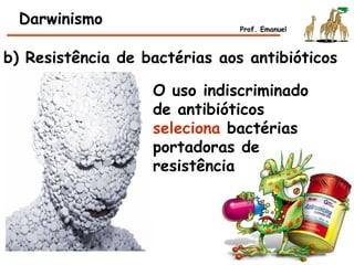 b) Resistência de bactérias aos antibióticos
Darwinismo Prof. Emanuel
O uso indiscriminado
de antibióticos
seleciona bactérias
portadoras de
resistência
 
