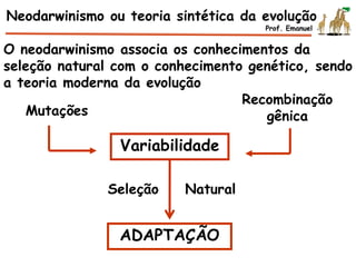 O neodarwinismo associa os conhecimentos da
seleção natural com o conhecimento genético, sendo
a teoria moderna da evolução
Variabilidade
Mutações
Recombinação
gênica
Seleção Natural
ADAPTAÇÃO
Neodarwinismo ou teoria sintética da evolução
Prof. Emanuel
 