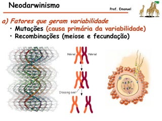 Neodarwinismo Prof. Emanuel
a) Fatores que geram variabilidade
• Mutações (causa primária da variabilidade)
• Recombinações (meiose e fecundação)
 