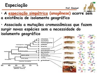 • A especiação simpátrica (anagênese) ocorre sem
a existência de isolamento geográfico
• Associada a mutações cromossômicas que fazem
surgir novas espécies sem a necessidade do
isolamento geográfico
Especiação Prof. Emanuel
 