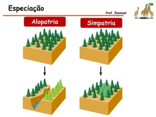 Especiação Prof. Emanuel
Alopatria Simpatria
 