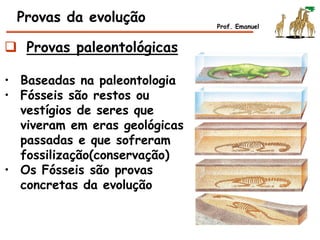  Provas paleontológicas
• Baseadas na paleontologia
• Fósseis são restos ou
vestígios de seres que
viveram em eras geológicas
passadas e que sofreram
fossilização(conservação)
• Os Fósseis são provas
concretas da evolução
Provas da evolução Prof. Emanuel
 