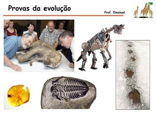 Provas da evolução Prof. Emanuel
 