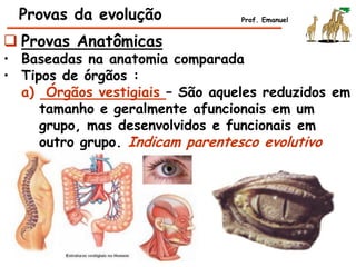  Provas Anatômicas
• Baseadas na anatomia comparada
• Tipos de órgãos :
a) Órgãos vestigiais – São aqueles reduzidos em
tamanho e geralmente afuncionais em um
grupo, mas desenvolvidos e funcionais em
outro grupo. Indicam parentesco evolutivo
Provas da evolução Prof. Emanuel
 