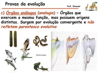 Provas da evolução Prof. Emanuel
c) Órgãos análogos (analogia) – Órgãos que
exercem a mesma função, mas possuem origens
distintas. Surgem por evolução convergente e não
refletem parentesco evolutivo
 