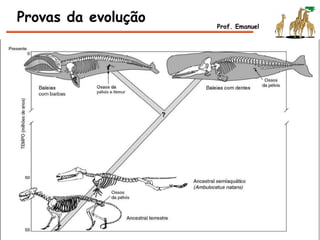 Provas da evolução Prof. Emanuel
 