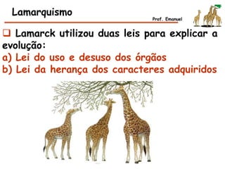  Lamarck utilizou duas leis para explicar a
evolução:
a) Lei do uso e desuso dos órgãos
b) Lei da herança dos caracteres adquiridos
Lamarquismo
Prof. Emanuel
 