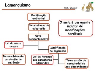 Modificação
ambiental
Necessidade de
adaptação
Novo
comportamento
Modificação
no organismo
Lei do uso e
desuso
Desenvolvimento
ou atrofia de
um órgão
Lei da herança
dos caracteres
adquiridos
Transmissão da
característica
aos descendentes
Lamarquismo Prof. Emanuel
O meio é um agente
indutor de
modificações
herdáveis
 