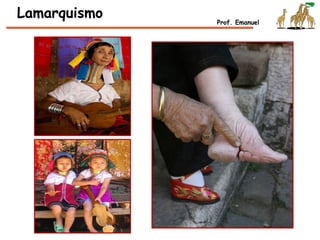 Lamarquismo Prof. Emanuel
 