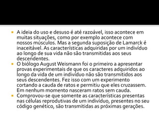 A ideia do uso e desuso é até razoável, isso acontece em
muitas situações, como por exemplo acontece com
nossos músculos. Mas a segunda suposição de Lamarck é
inaceitável. As características adquiridas por um indivíduo
ao longo de sua vida não são transmitidas aos seus
descendentes.
 O biólogo August Weismann foi o primeiro a apresentar
provas experimentais de que os caracteres adquiridos ao
longo da vida de um indivíduo não são transmitidos aos
seus descendentes. Fez isso com um experimento
cortando a cauda de ratos e permitiu que eles cruzassem.
Em nenhum momento nasceram ratos sem cauda.
 Comprovou-se que somente as características presentas
nas células reprodutivas de um indivíduo, presentes no seu
código genético, são transmitidas as próximas gerações.


 