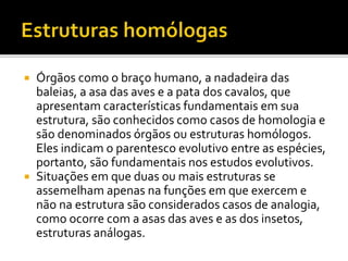 Órgãos como o braço humano, a nadadeira das
baleias, a asa das aves e a pata dos cavalos, que
apresentam características fundamentais em sua
estrutura, são conhecidos como casos de homologia e
são denominados órgãos ou estruturas homólogos.
Eles indicam o parentesco evolutivo entre as espécies,
portanto, são fundamentais nos estudos evolutivos.
 Situações em que duas ou mais estruturas se
assemelham apenas na funções em que exercem e
não na estrutura são considerados casos de analogia,
como ocorre com a asas das aves e as dos insetos,
estruturas análogas.


 
