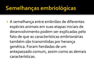 

A semelhança entre embriões de diferentes
espécies animais em suas etapas iniciais de
desenvolvimento podem ser explicadas pelo
fato de que as características embrionárias
também são transmitidas por herança
genética. Foram herdadas de um
antepassado comum, assim como as demais
características.

 