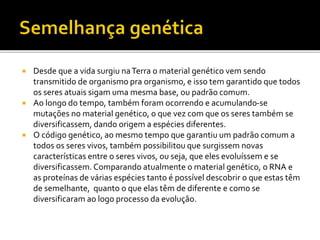 





Desde que a vida surgiu na Terra o material genético vem sendo
transmitido de organismo pra organismo, e isso tem garantido que todos
os seres atuais sigam uma mesma base, ou padrão comum.
Ao longo do tempo, também foram ocorrendo e acumulando-se
mutações no material genético, o que vez com que os seres também se
diversificassem, dando origem a espécies diferentes.
O código genético, ao mesmo tempo que garantiu um padrão comum a
todos os seres vivos, também possibilitou que surgissem novas
características entre o seres vivos, ou seja, que eles evoluíssem e se
diversificassem. Comparando atualmente o material genético, o RNA e
as proteínas de várias espécies tanto é possível descobrir o que estas têm
de semelhante, quanto o que elas têm de diferente e como se
diversificaram ao logo processo da evolução.

 