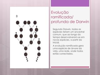 Evolução
ramificada/
profunda de Darwin
Segundo Darwin, todas as
espécies teriam um ancestral
comum, que ao longo do
tempo desenvolveram-se em
novas espécies, a partir da
inicial.
A evolução ramificada gera
uma espécie de árvore da
vida, uma rede, onde todos
estão conectados.
 