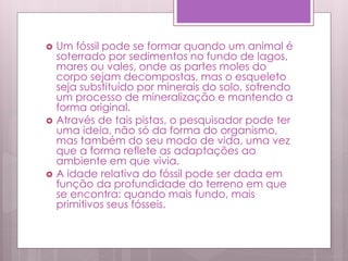  Um fóssil pode se formar quando um animal é
soterrado por sedimentos no fundo de lagos,
mares ou vales, onde as partes moles do
corpo sejam decompostas, mas o esqueleto
seja substituído por minerais do solo, sofrendo
um processo de mineralização e mantendo a
forma original.
 Através de tais pistas, o pesquisador pode ter
uma ideia, não só da forma do organismo,
mas também do seu modo de vida, uma vez
que a forma reflete as adaptações ao
ambiente em que vivia.
 A idade relativa do fóssil pode ser dada em
função da profundidade do terreno em que
se encontra: quando mais fundo, mais
primitivos seus fósseis.
 