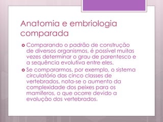 Anatomia e embriologia
comparada
 Comparando o padrão de construção
de diversos organismos, é possível muitas
vezes determinar o grau de parentesco e
a sequência evolutiva entre eles.
 Se compararmos, por exemplo, o sistema
circulatório das cinco classes de
vertebrados, nota-se o aumento da
complexidade dos peixes para os
mamíferos, o que ocorre devido a
evolução dos vertebrados.
 