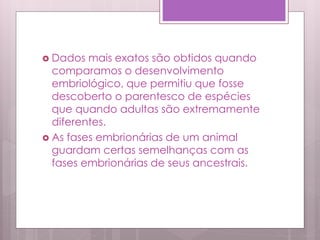  Dados mais exatos são obtidos quando
comparamos o desenvolvimento
embriológico, que permitiu que fosse
descoberto o parentesco de espécies
que quando adultas são extremamente
diferentes.
 As fases embrionárias de um animal
guardam certas semelhanças com as
fases embrionárias de seus ancestrais.
 