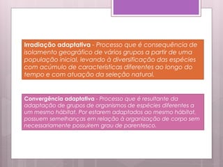 Irradiação adaptativa - Processo que é consequência de
isolamento geográfico de vários grupos a partir de uma
população inicial, levando à diversificação das espécies
com acúmulo de características diferentes ao longo do
tempo e com atuação da seleção natural.
Convergência adaptativa - Processo que é resultante da
adaptação de grupos de organismos de espécies diferentes a
um mesmo hábitat. Por estarem adaptados ao mesmo hábitat,
possuem semelhanças em relação à organização de corpo sem
necessariamente possuírem grau de parentesco.
 