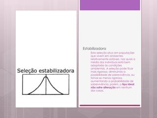 Estabilizadora
Esta seleção atua em populações
que vivem em ambientes
relativamente estáveis, nas quais a
média dos indivíduos está bem
adaptada às condições
ambientais. A seleção pode ficar
mais rigorosa, diminuindo a
possibilidade de sobrevivência, ou
tornar-se menos rigorosa,
aumentando a probabilidade de
sobrevivência, porém, o tipo ideal
não sofre alteração em nenhum
dos casos.
 