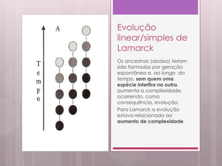 Evolução
linear/simples de
Lamarck
Os ancestrais (abaixo) teriam
sido formados por geração
espontânea e, ao longo do
tempo, sem quem uma
espécie interfira na outra,
aumenta a complexidade,
ocorrendo, como
consequência, evolução.
Para Lamarck a evolução
estava relacionada ao
aumento de complexidade.
 